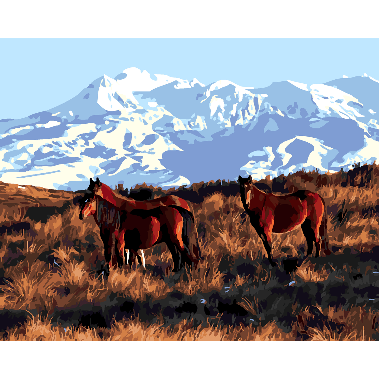 Kiwi Paint By Numbers - Kaimanawa Horses