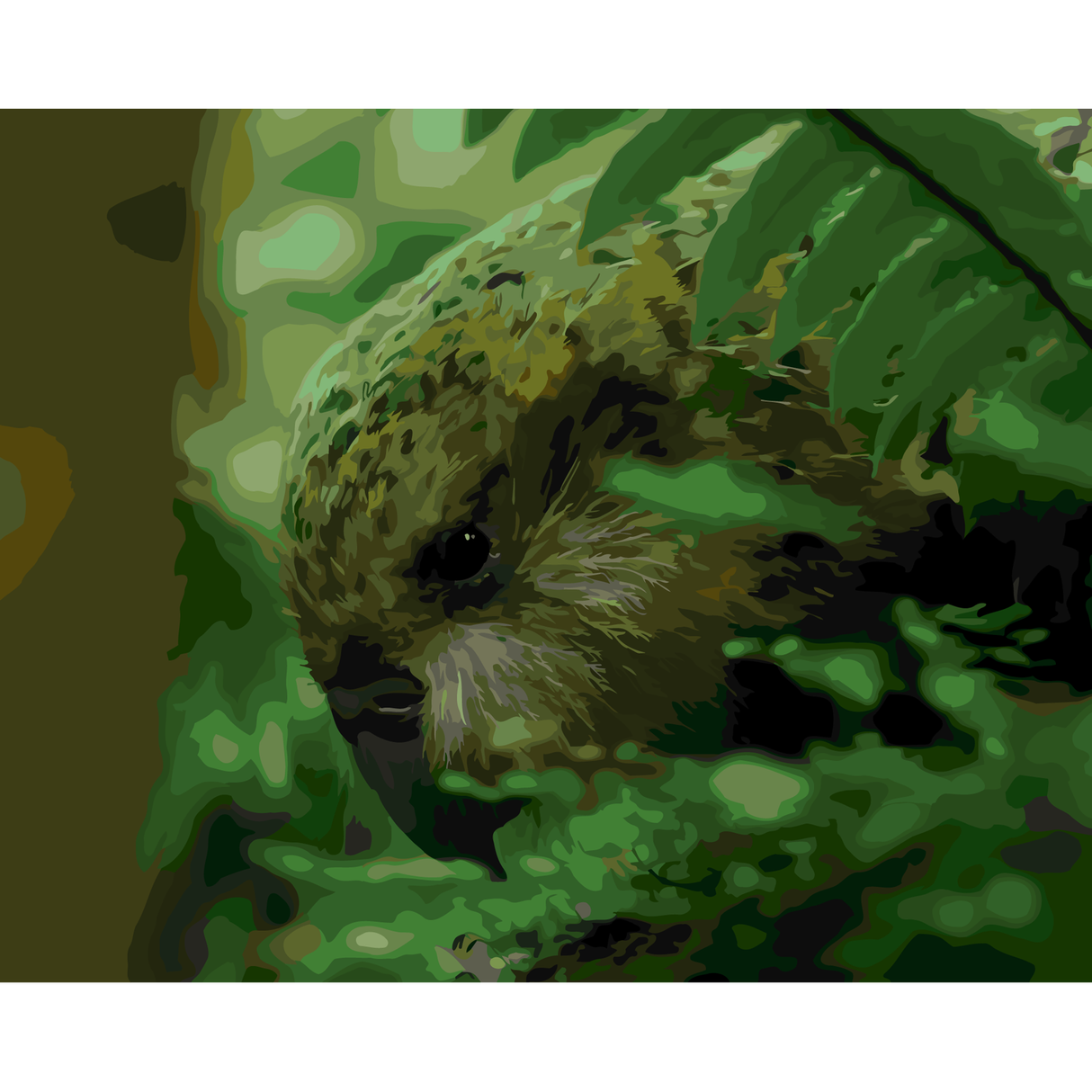 Kiwi Paint By Numbers - Kakapo