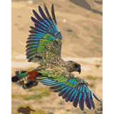 Kiwi Paint By Numbers - Kea