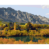 Kiwi Paint By Numbers - Remarkable Ranges