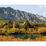 Kiwi Paint By Numbers - Remarkable Ranges