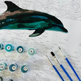 Kiwi Paint By Numbers - Common Dolphin