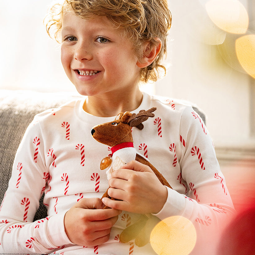 Elf Pets: A Reindeer Tradition - Book & Toy Box Set