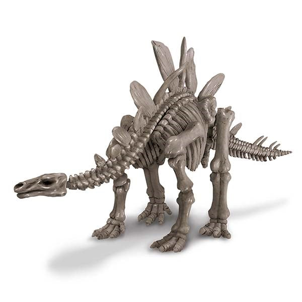 4M: KidzLabs Dig A Stegosaurus Skeleton