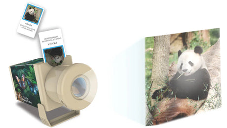 4M: KidzLabs Slide Projector - Wildlife