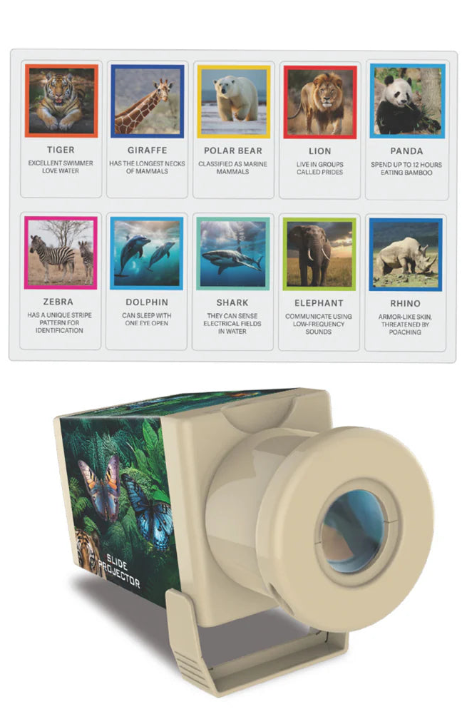 4M: KidzLabs Slide Projector - Wildlife