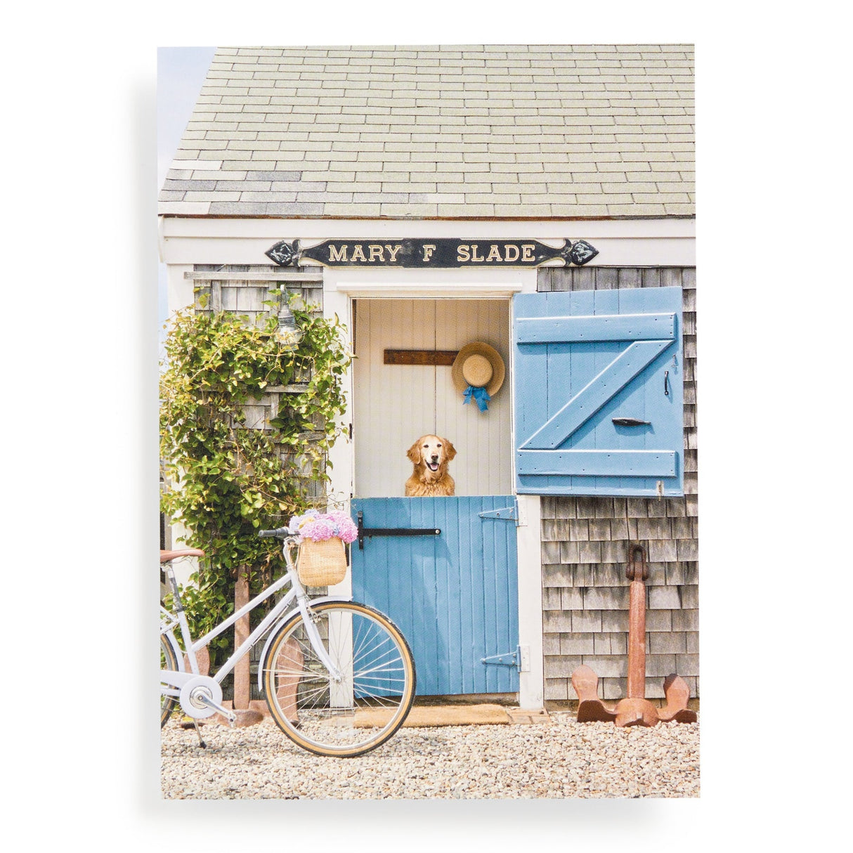 Galison Gray Malin Nantucket Book Puzzle - 1000 Piece