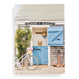 Galison Gray Malin Nantucket Book Puzzle - 1000 Piece