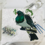 Kiwi Paint By Numbers - Kereru