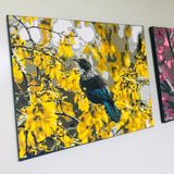 Kiwi Paint By Numbers - Tui in Kowhai Tree