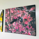 Kiwi Paint By Numbers - Tui in Cherry Tree