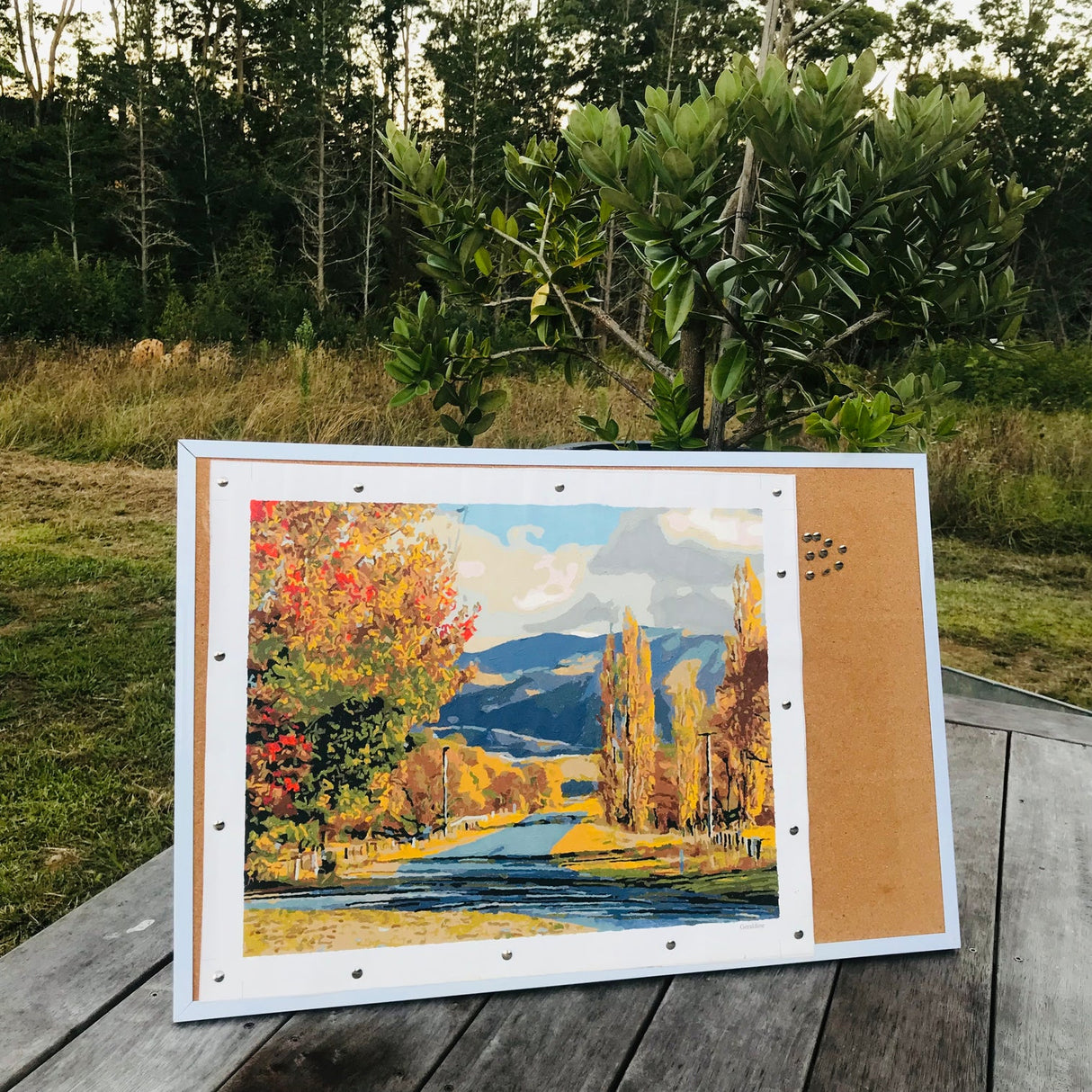 Kiwi Paint By Numbers - Geraldine