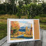 Kiwi Paint By Numbers - Geraldine