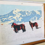 Kiwi Paint By Numbers - Kaimanawa Horses