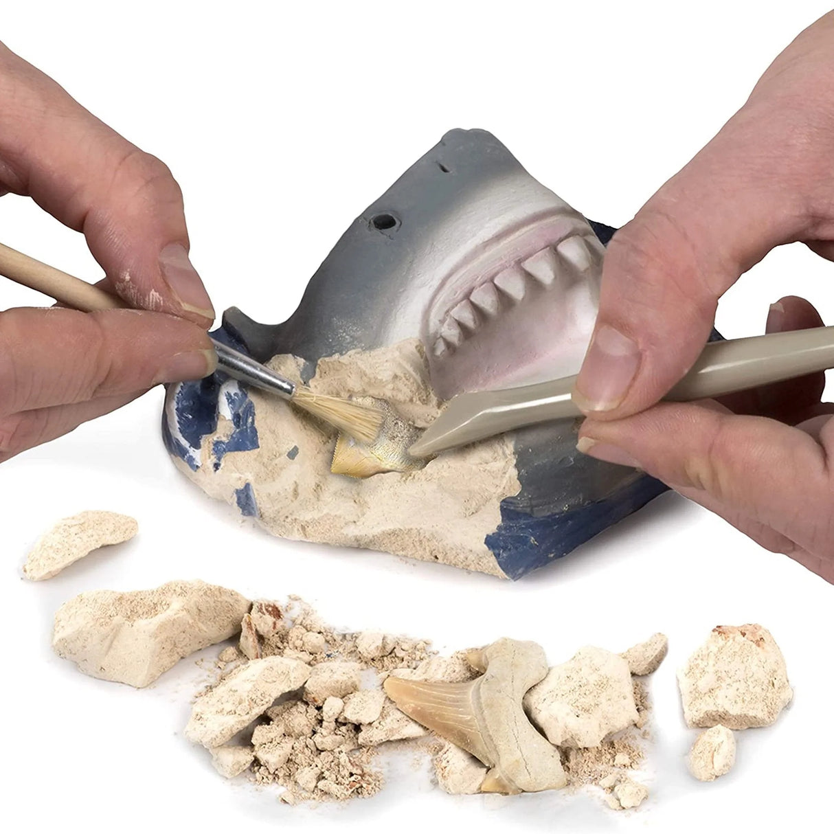 National Geographic Shark Dig Kit