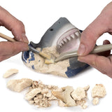 National Geographic Shark Dig Kit