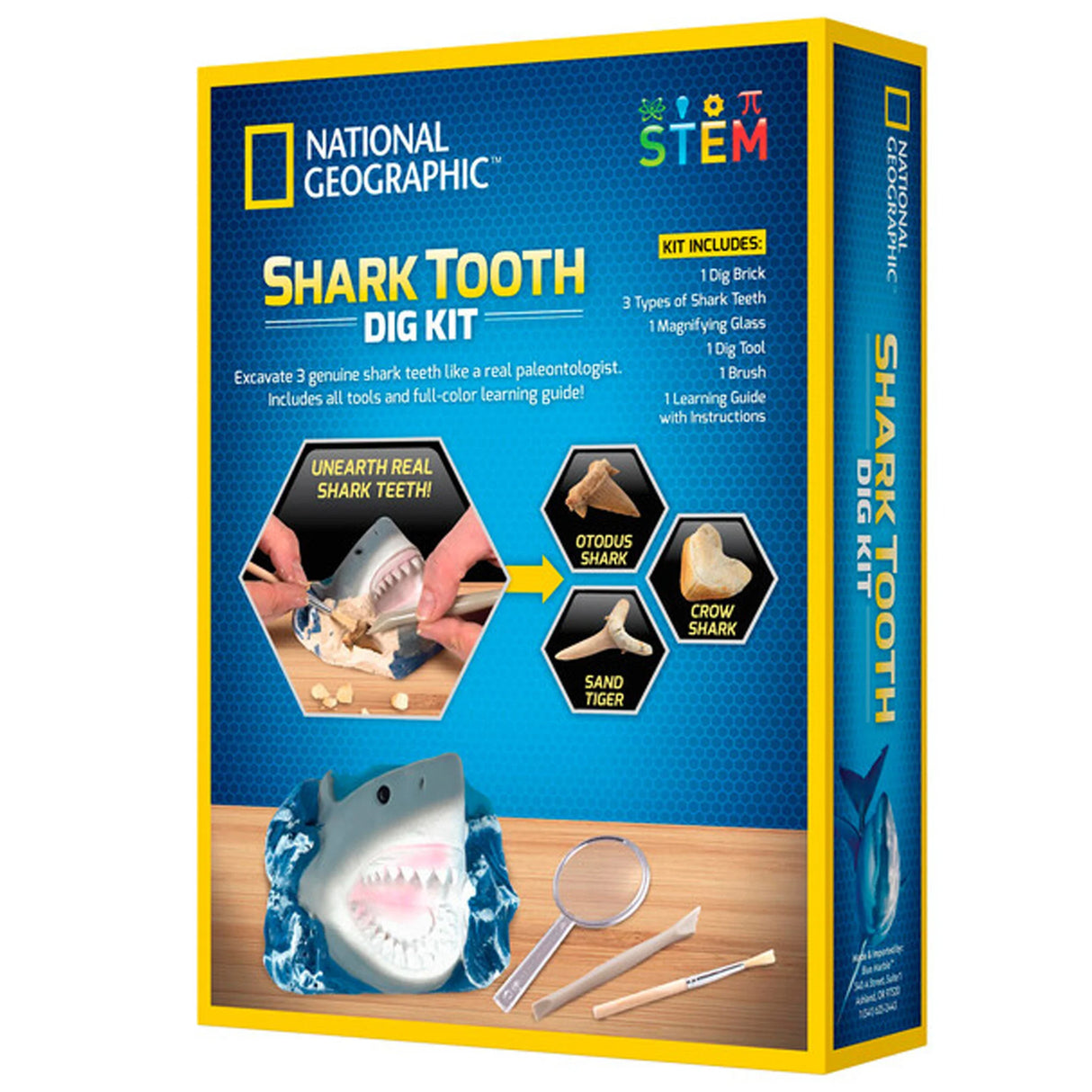 National Geographic Shark Dig Kit