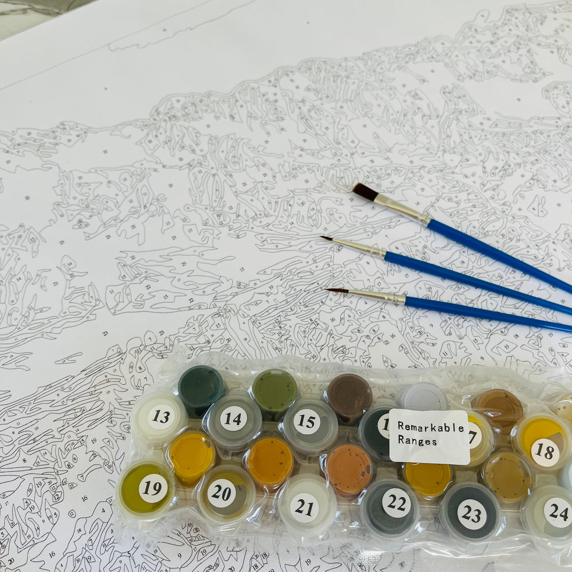 Kiwi Paint By Numbers - Remarkable Ranges