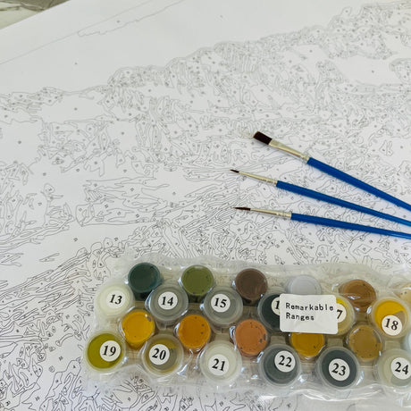 Kiwi Paint By Numbers - Remarkable Ranges