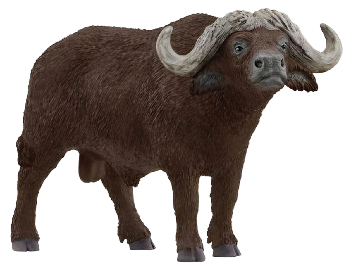 Schleich - African Buffalo