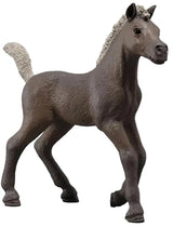 Schleich - Collectible Foal Darcy