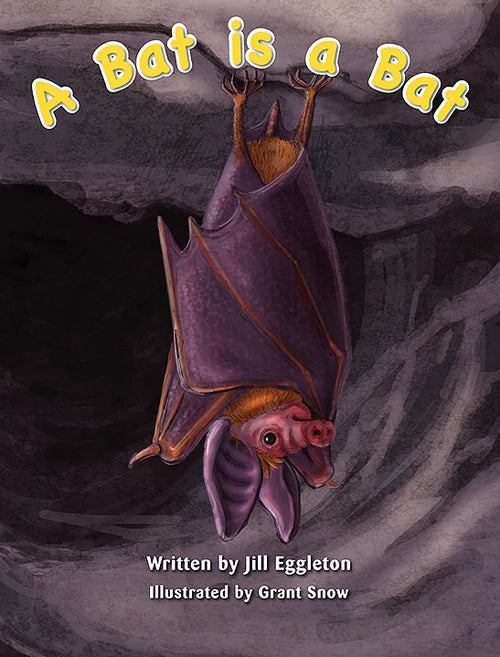 A Bat is a Bat