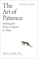 The Art of Patience