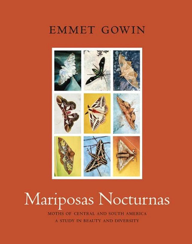Mariposas Nocturnas