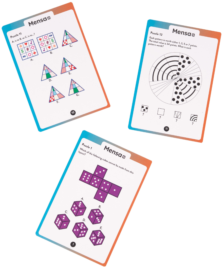 Professor Puzzle: Mensa Riddles & Conundrums