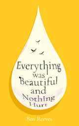 Everything was Beautiful and Nothing Hurt