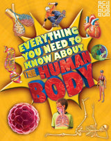 Everything You Need To Know About The Human Body