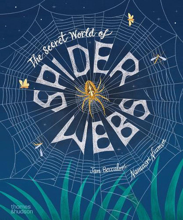 The Secret World of Spider Webs
