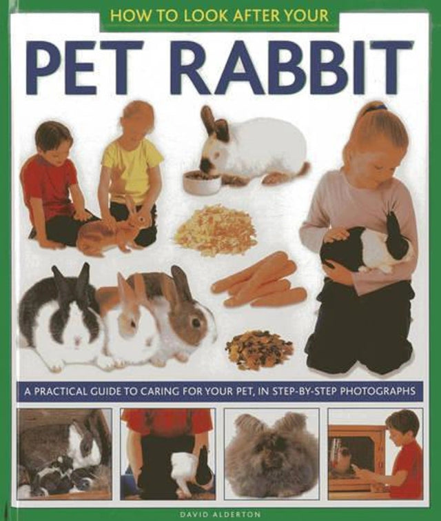 How to Look After Your Pet Rabbit
