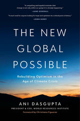 The New Global Possible
