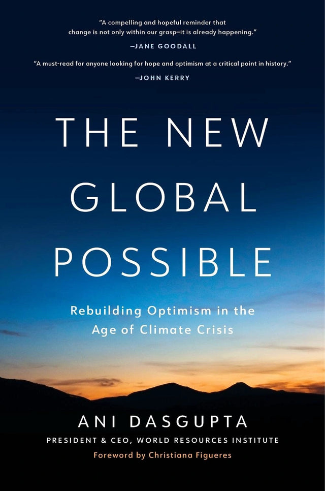 The New Global Possible