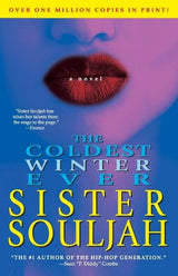 The Coldest Winter Ever