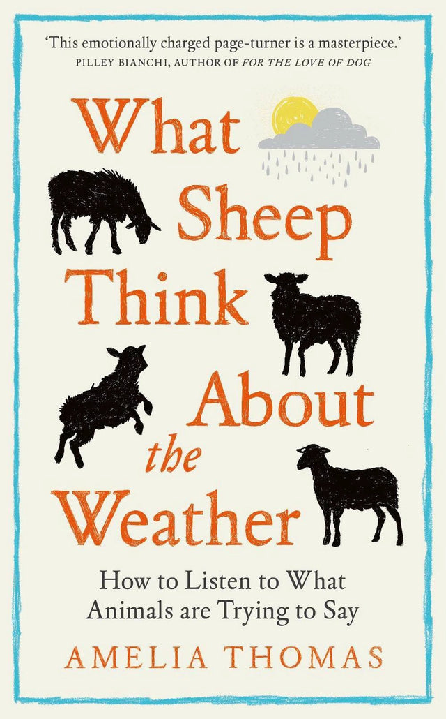What Sheep Think About the Weather
