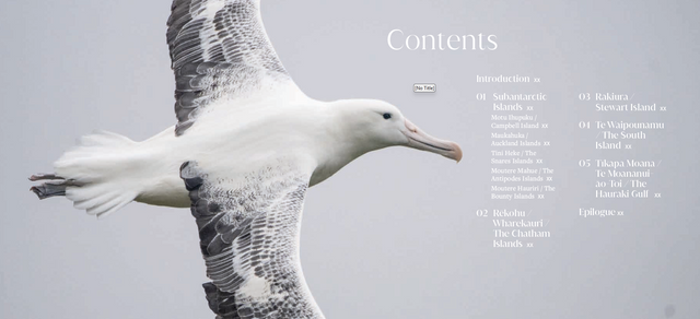 Birdlands