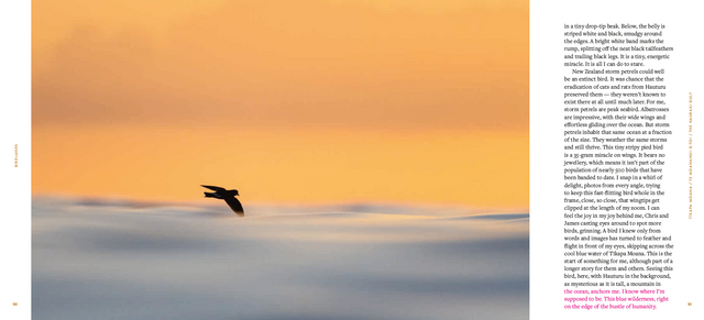 Birdlands