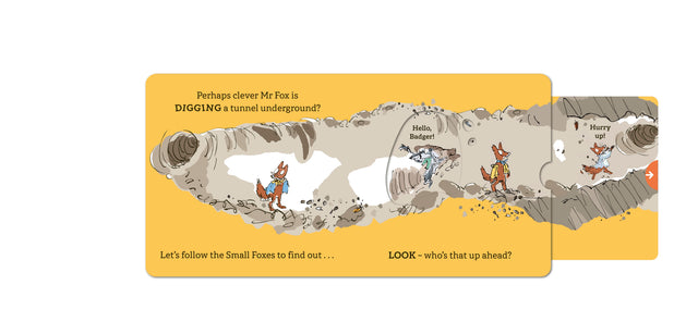 Roald Dahl: Can You Find Fantastic Mr Fox?