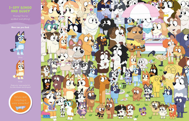 Bluey: Where's Bluey and Bingo?: A Search-and-Find Book