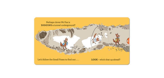Roald Dahl: Can You Find Fantastic Mr Fox?