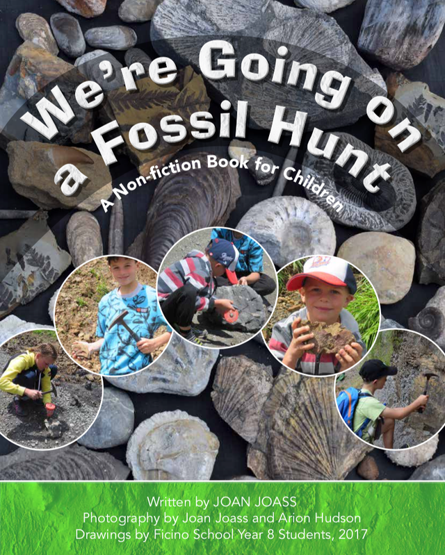We're Going on a Fossil Hunt