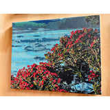 Kiwi Paint By Numbers - Pohutukawa Tree