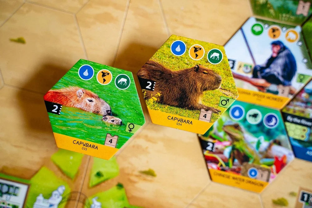 Sanctuary (an Ark Nova game)