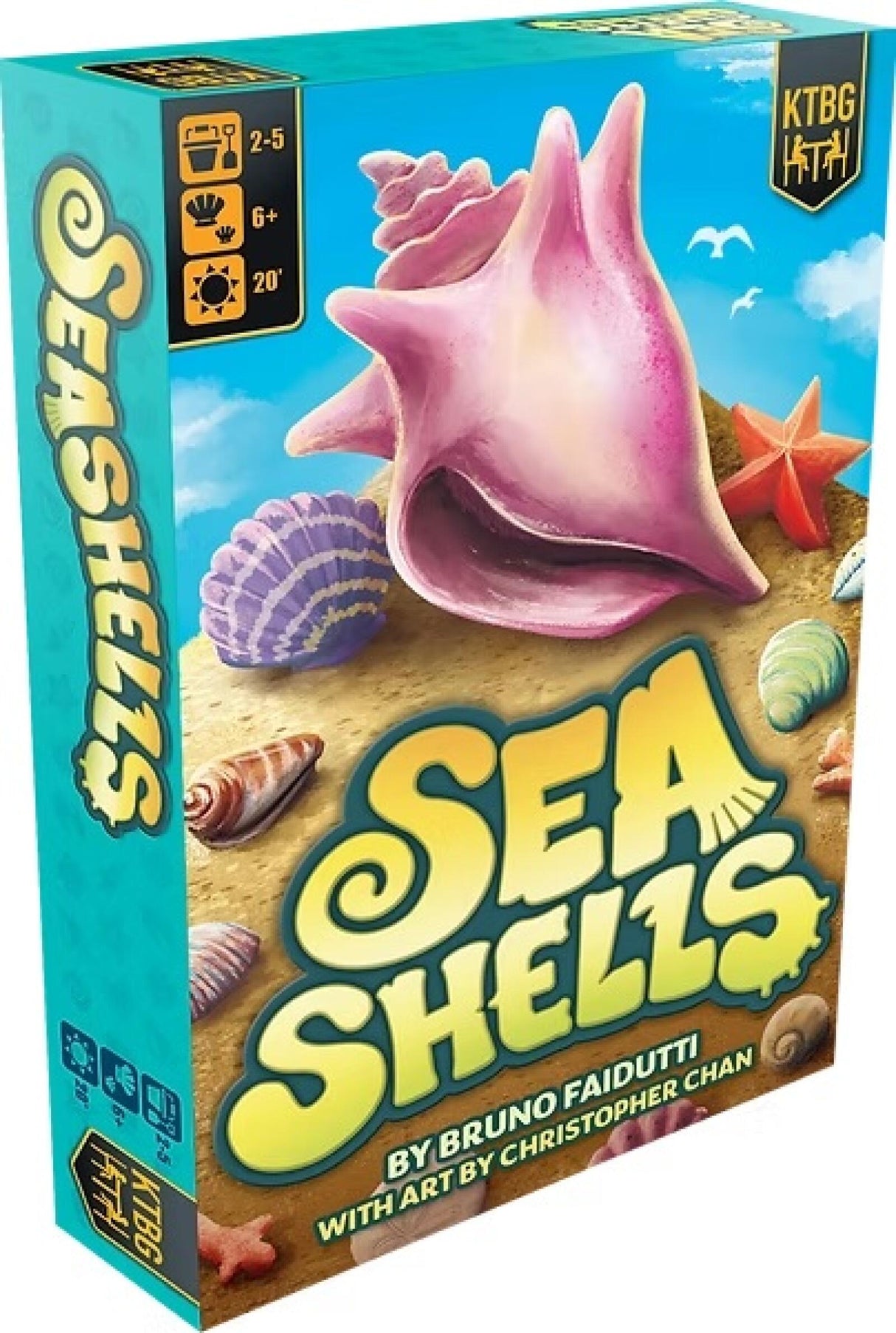 Seashells