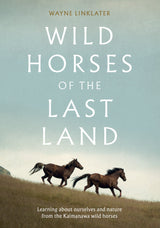 Wild Horses of the Last Land